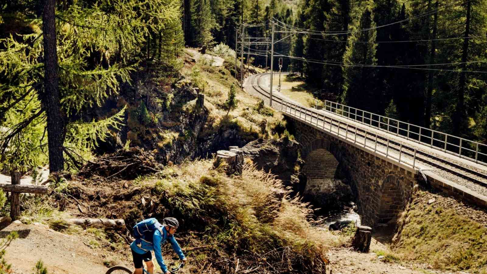 Mountainbiker fahren im Wald.