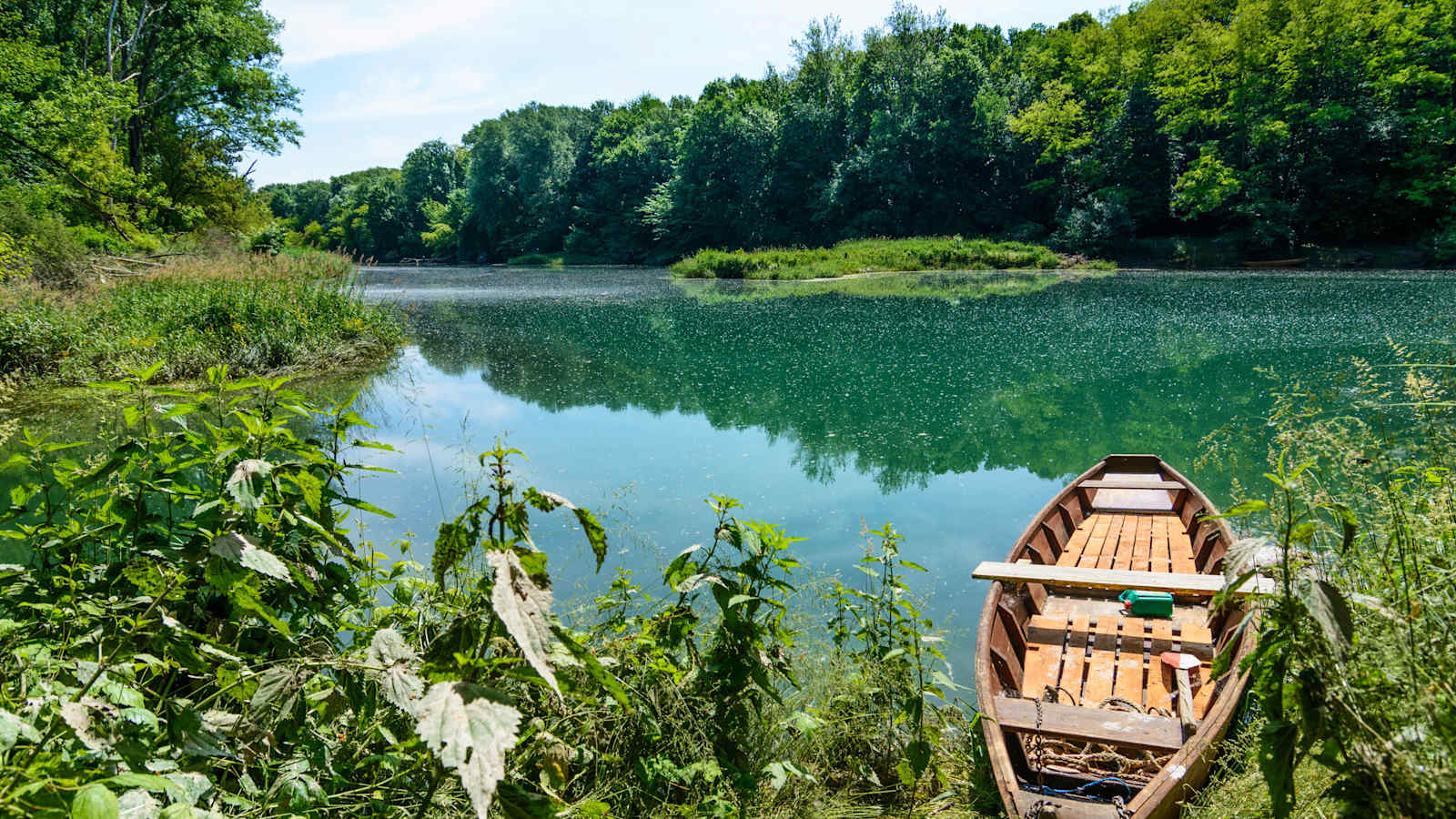 Nationalpark Donau-Auen in Niederösterreich