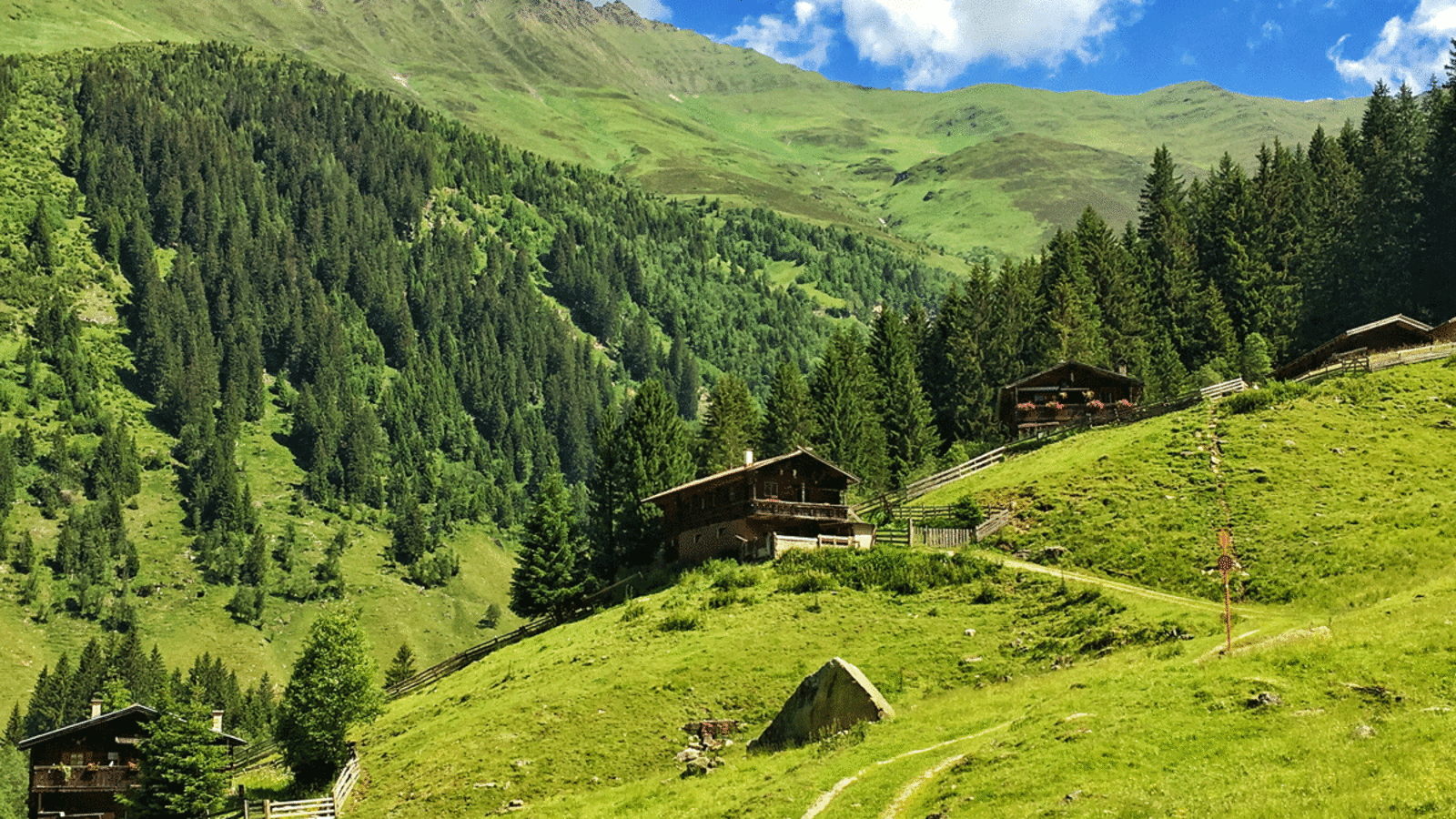 Die Nockeralm im Inneren Valsertal