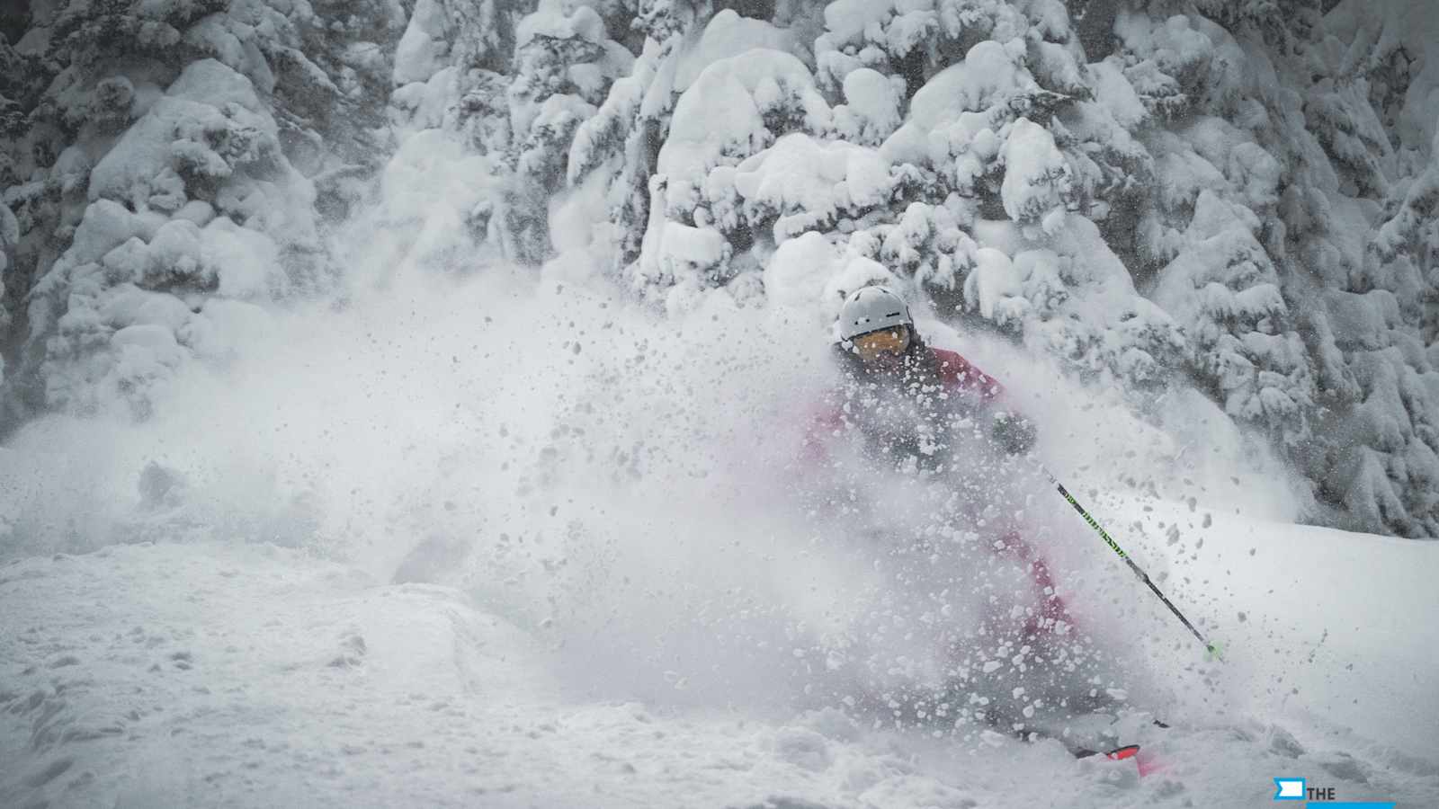 Freeriderin Stefanie Noppinger liebt es bis zum Hals im Schnee abzutauchen