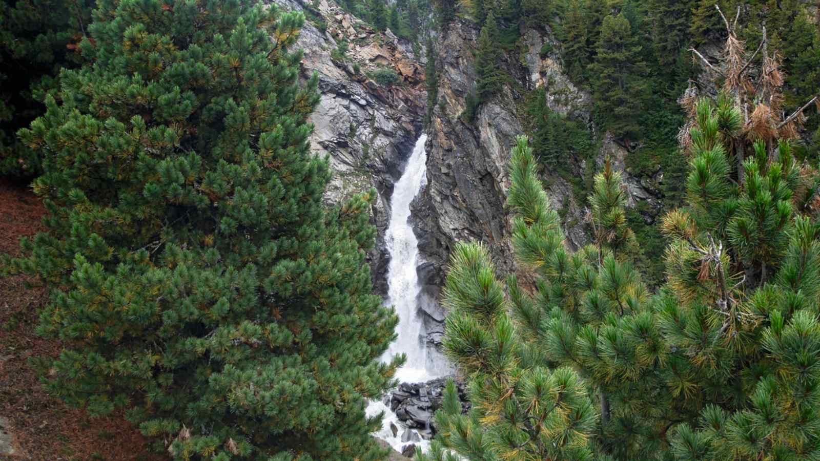 Rotmooswasserfall im Obergurgler Zirbenwald