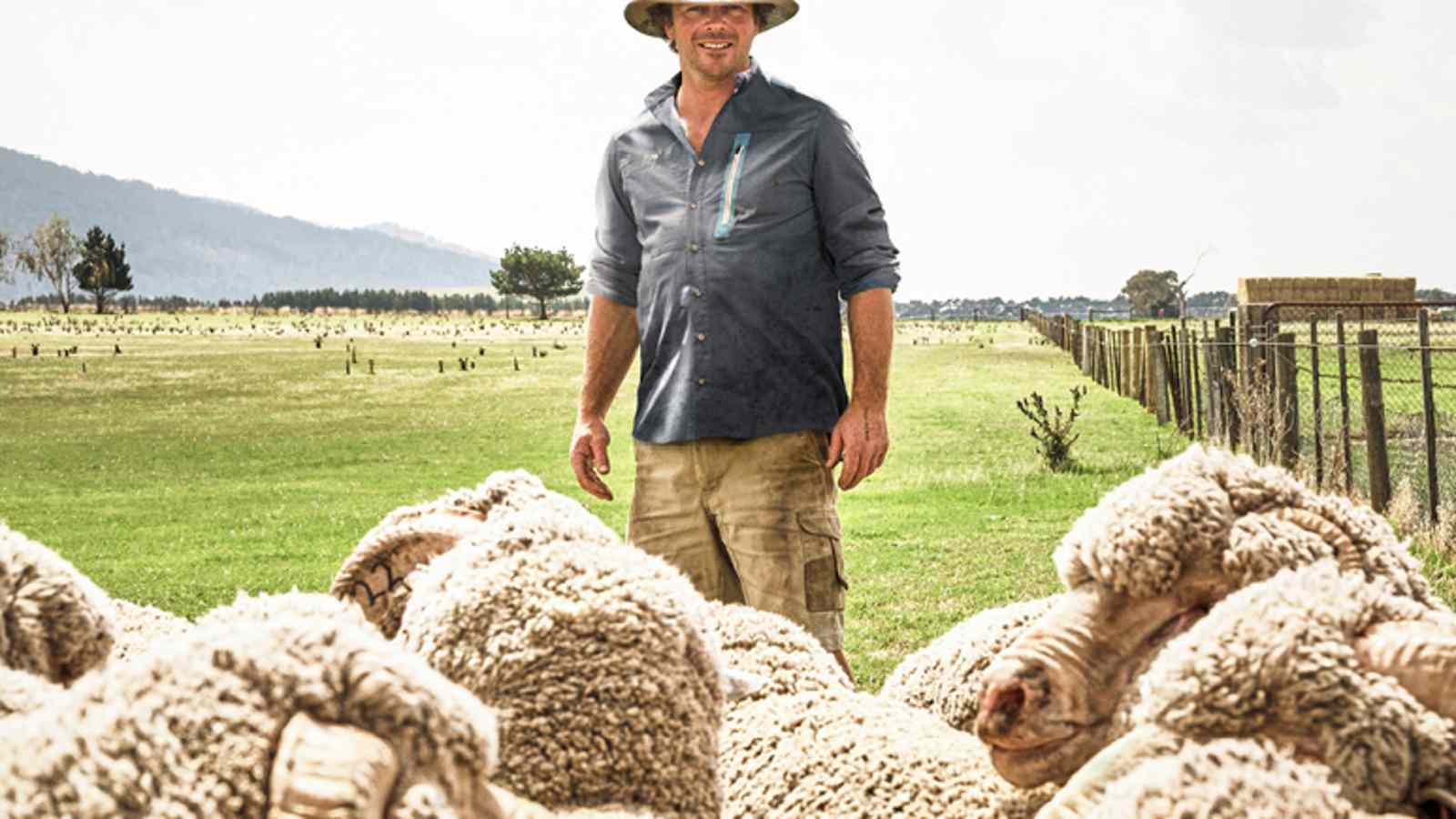 Mit dem ORTOVOX WOOL PROMISE wird die faire Produktion von Merinowolle sichergestellt.