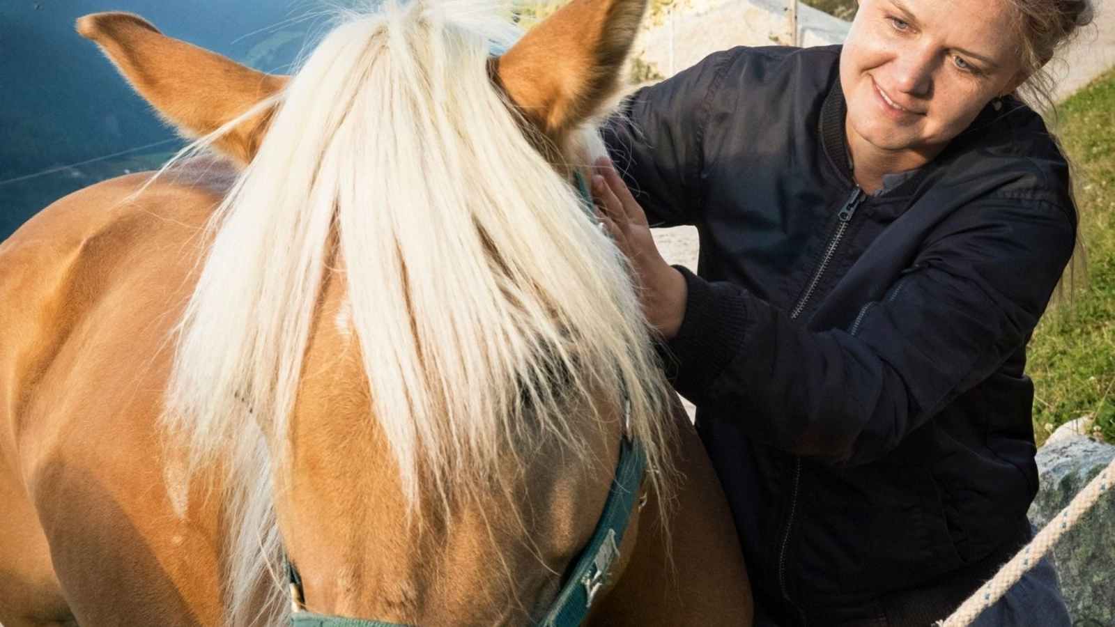 Die Autorin streichelt die Haflingerdame Kathi