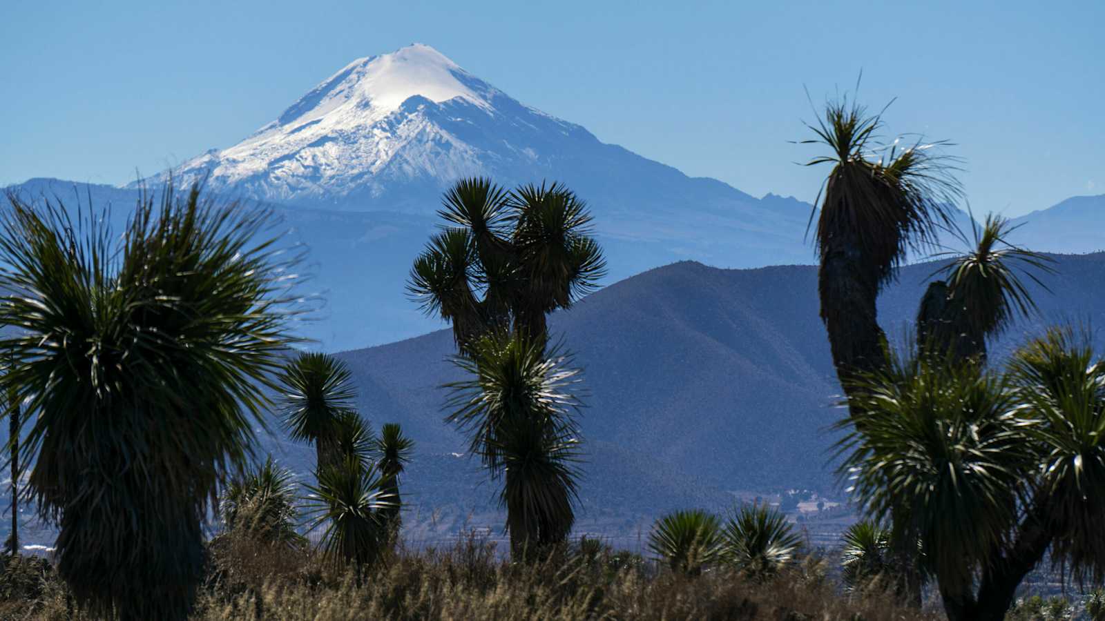 Pico de Orizaba in der Cordillera Volcánica in Mexiko