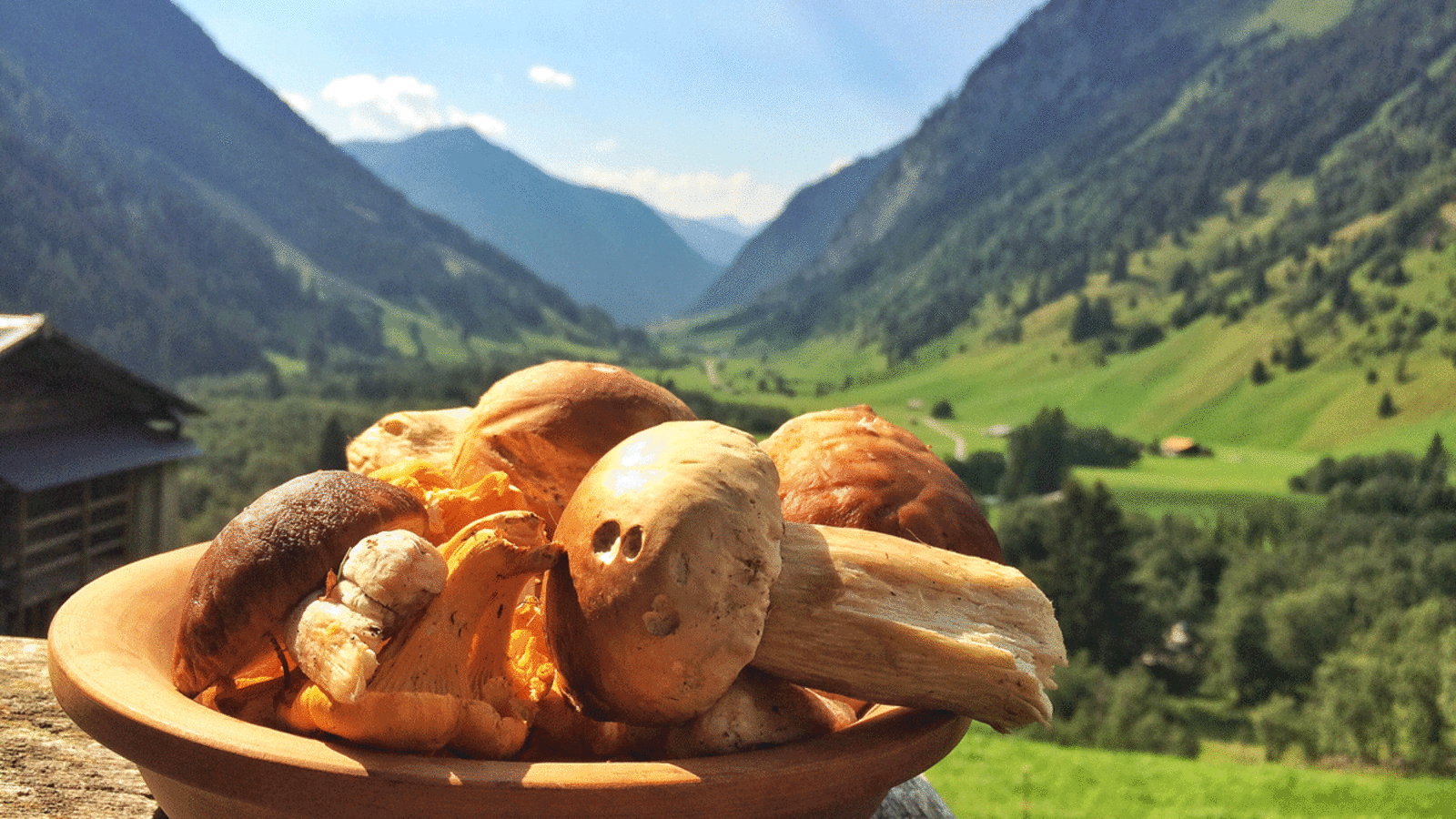 Auf der Schule der Alm werden die Grundkenntnisse der Almbewirtschaftung vermittelt und natürlich auch Pilze gesammelt