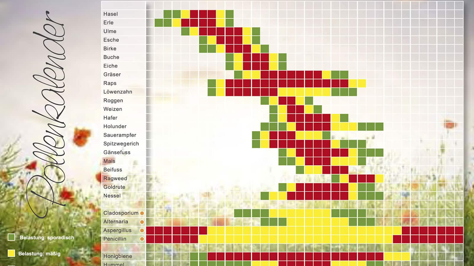 Pollenkalender: Blühzeit allergener Bäume, Gräser und Kräuter