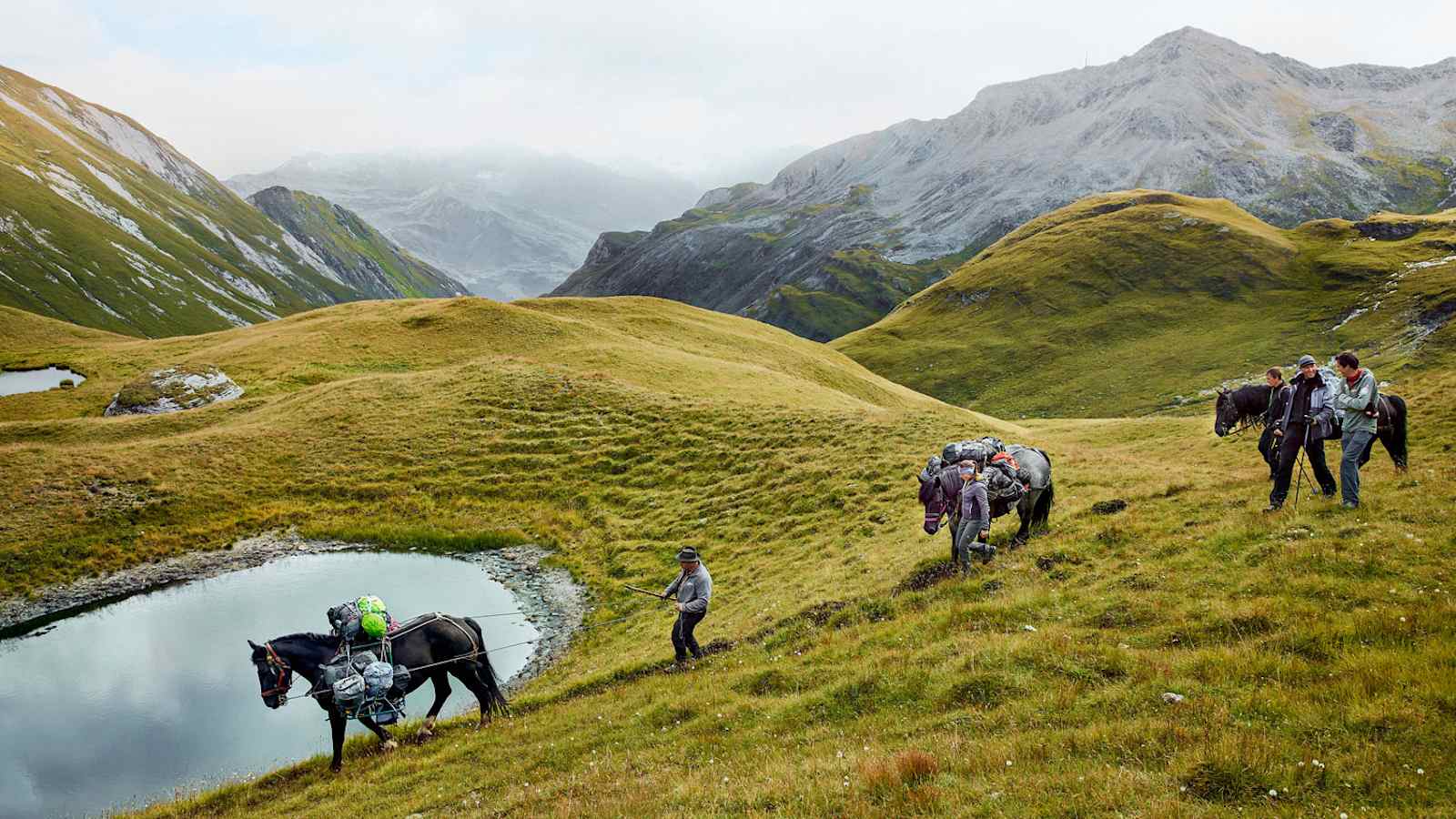 Bergsteigen wie damals: Mit Packpferden geht es über die Glatzböden von der Glorer Hütte in Richtung Salmhütte.