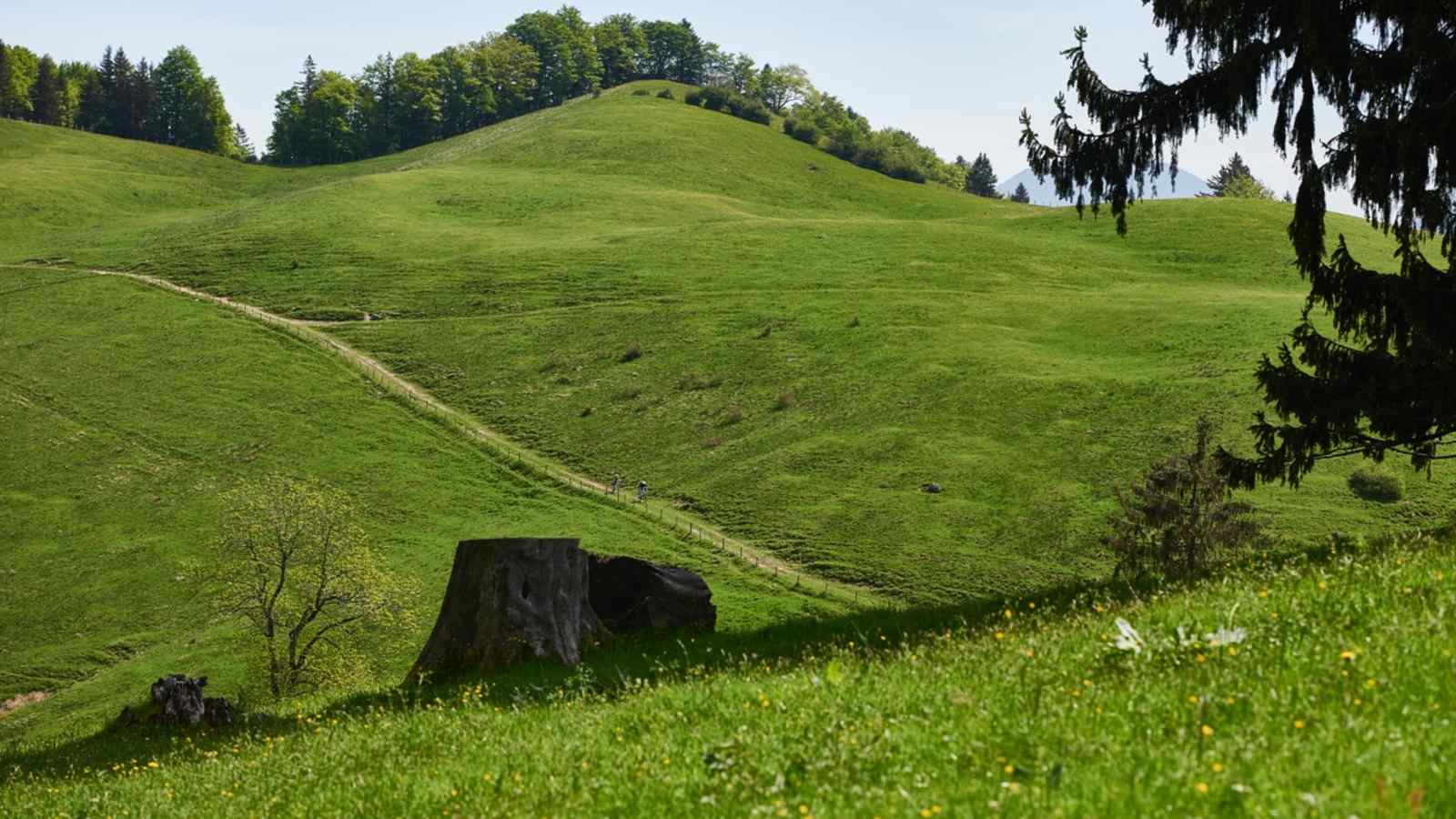 Rachl-Alm in Bayern