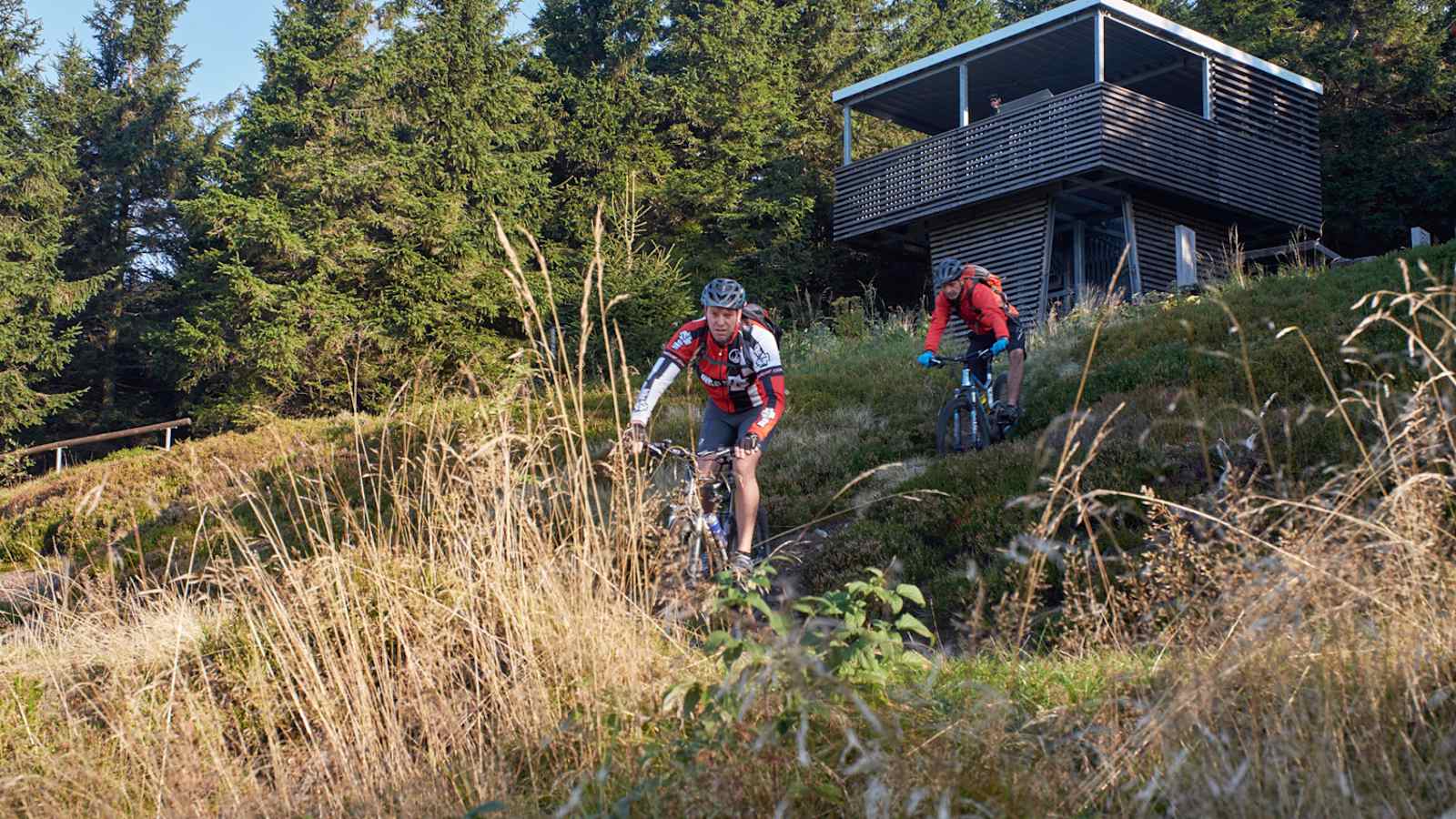 Rennsteig im Thüringer Wald