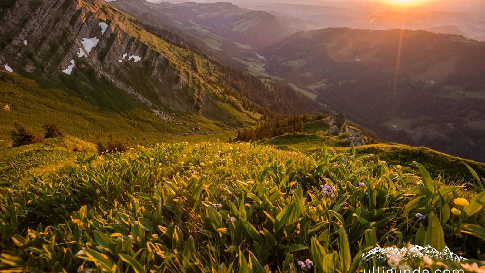 Rindalphorn, Allgäu 