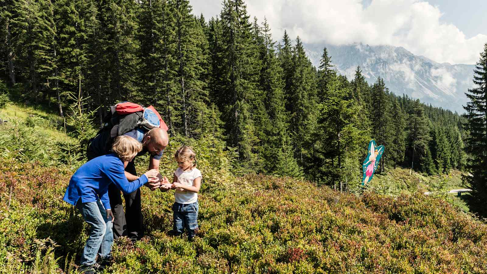 Die drei Wanderer zwischen den Heidelbeeren.