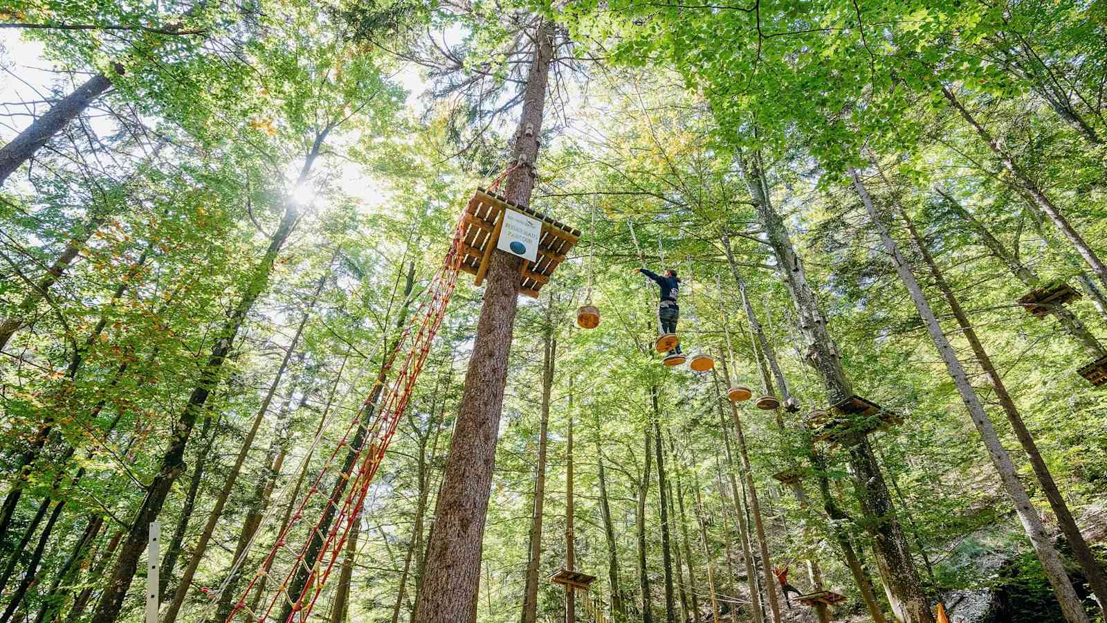 Ein Hochseilgarten im Wald.