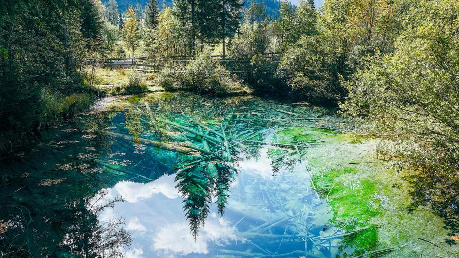 Ein glasklarer Teich in der Natur.