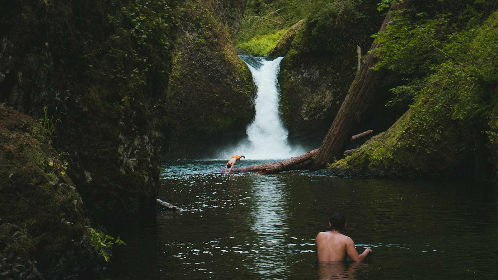 Wildschwimmen in einem Gumpen