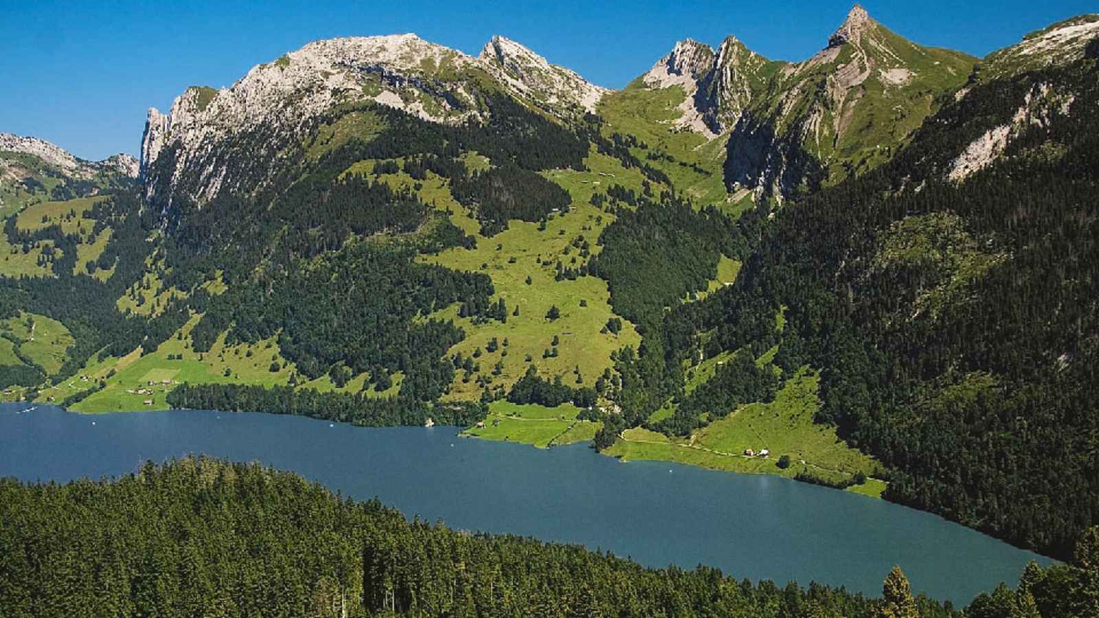 Blick auf den Rossalpelispitz in den Schwyzer Alpen