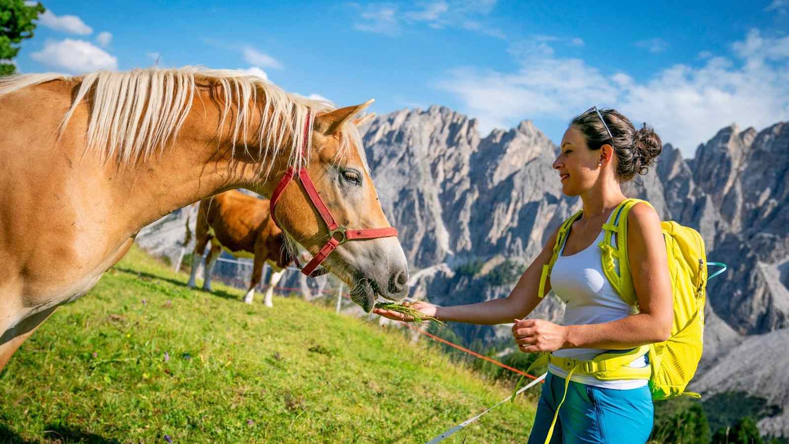 Eine Frau füttert ein Pferd auf der Alm