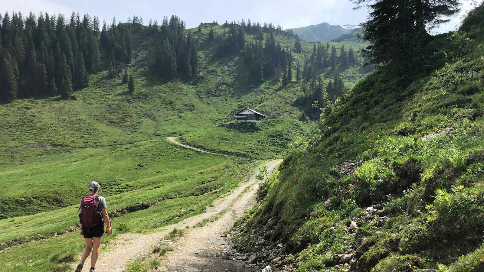 Scheibenschlatt-Hochalm