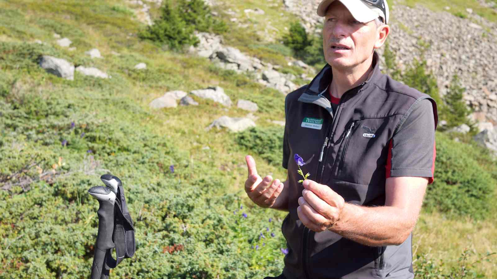 Nationalpark-Ranger Andreas Rofner mit Tauerneisenhut