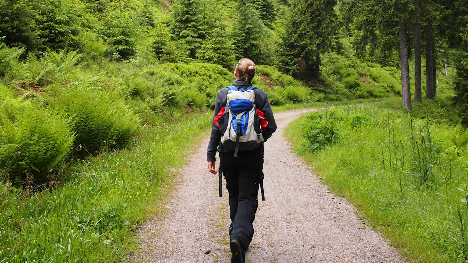 24 h Trophy: 24 Stunden wandern im Schwarzwald