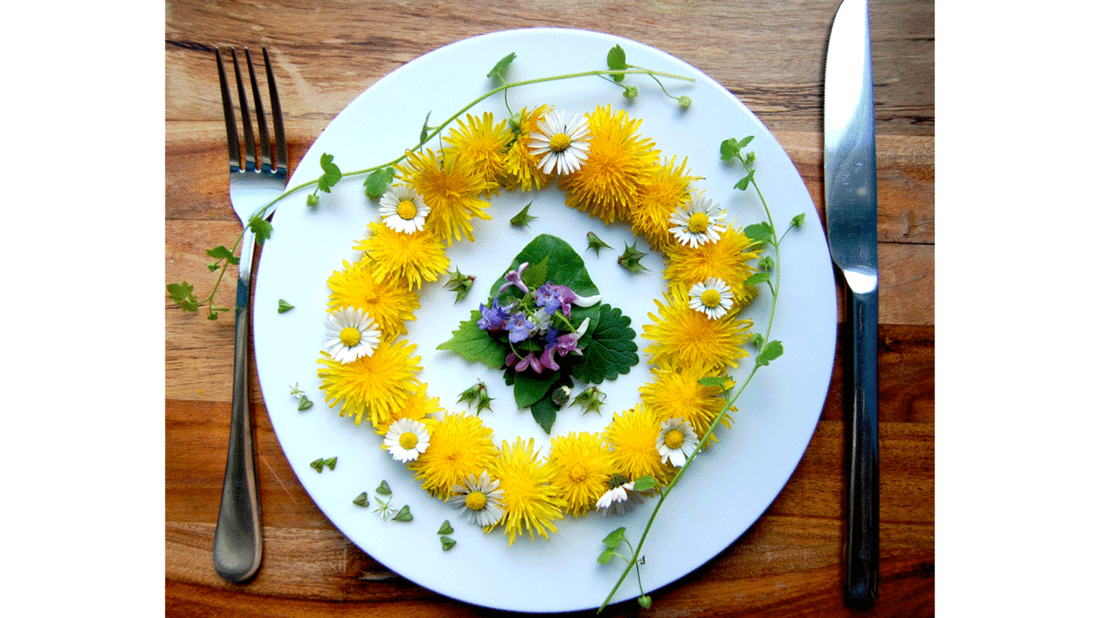 Heilkraut Hirtentäschel