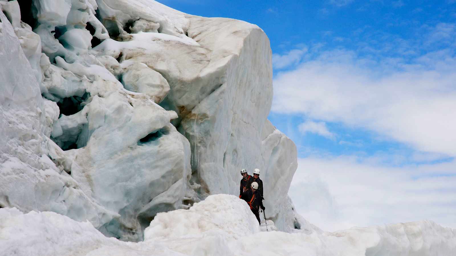 Weissmies in den Walliser Alpen: Weißes Moos