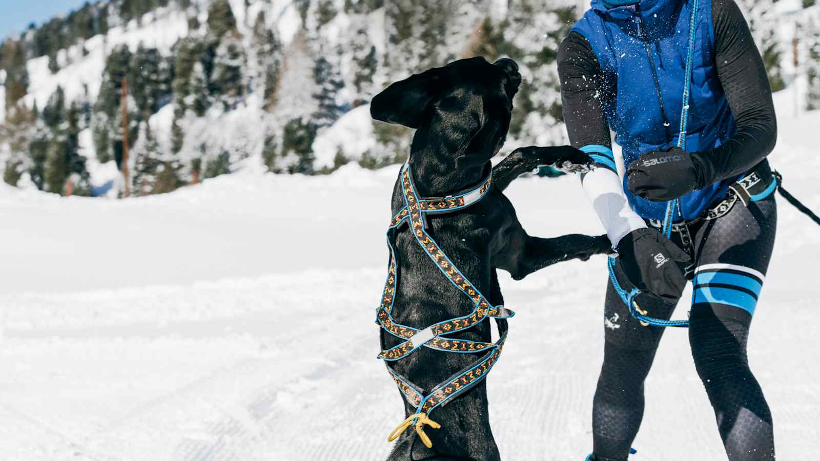 Anna und Finn beim Spielen im Schnee