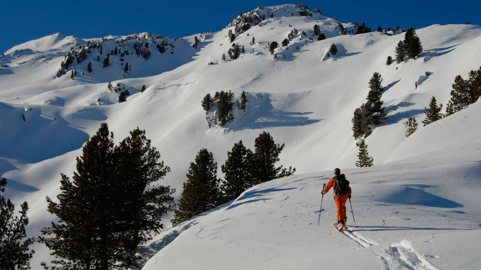 Skitourengeher im Gelände