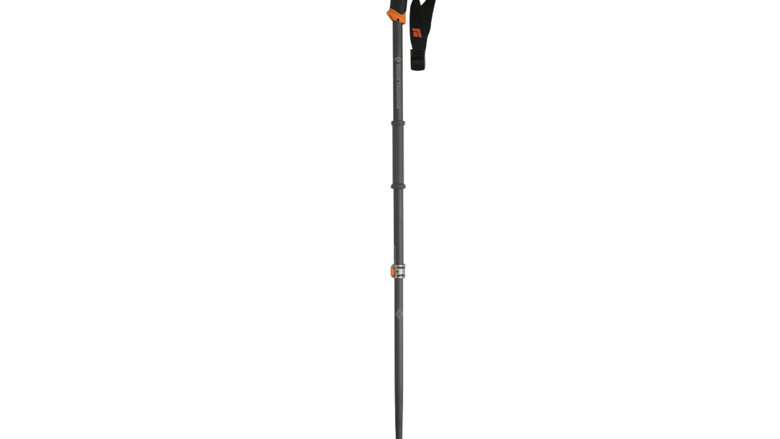 Der Whippet Ski Pole von Black Diamond