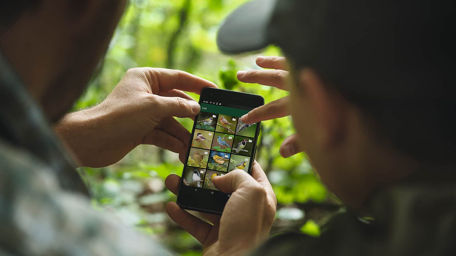 Fortschritte in der digitalen Fotografie machen es einfacher denn je, beeindruckende Bilder von Tieren zu erfassen.