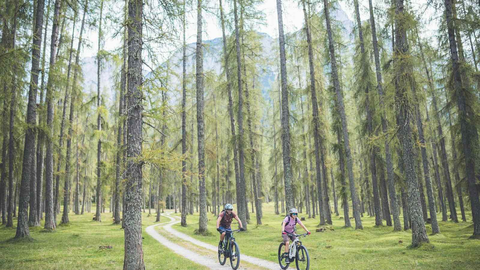 Genussvoll geht es mit dem E-Bike durch die schöne Landschaft der Tiroler Zugspitz Arena.