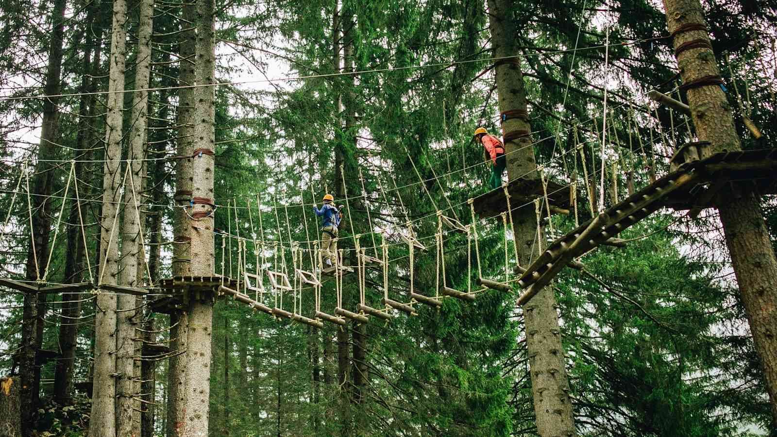 Kletterbrücke zwischen zwei Bäumen