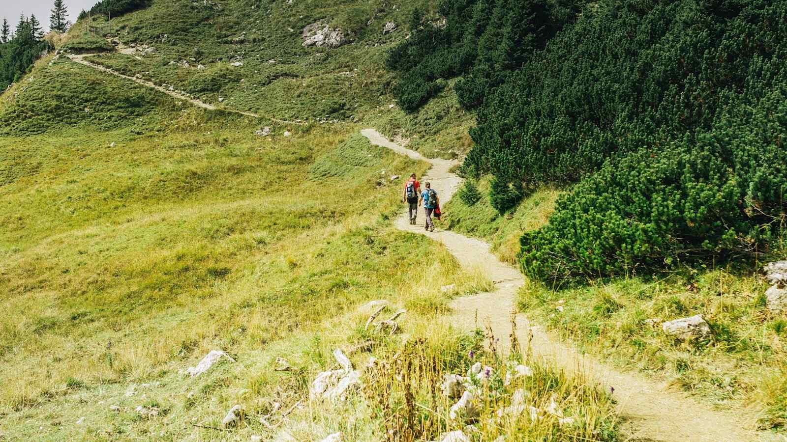 Wanderer auf einem Wanderweg