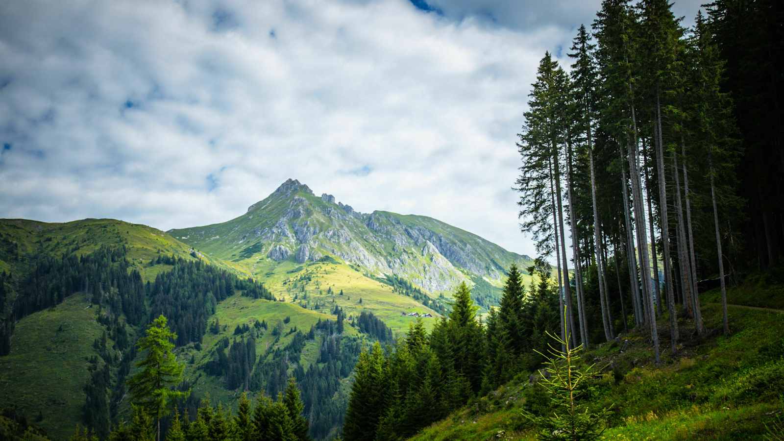 Nach dem Start geht es vom Parkplatz Hallmoosalm Richtung Karteisalm. Hier sieht man zum ersten Mal den Draugstein 2.359m