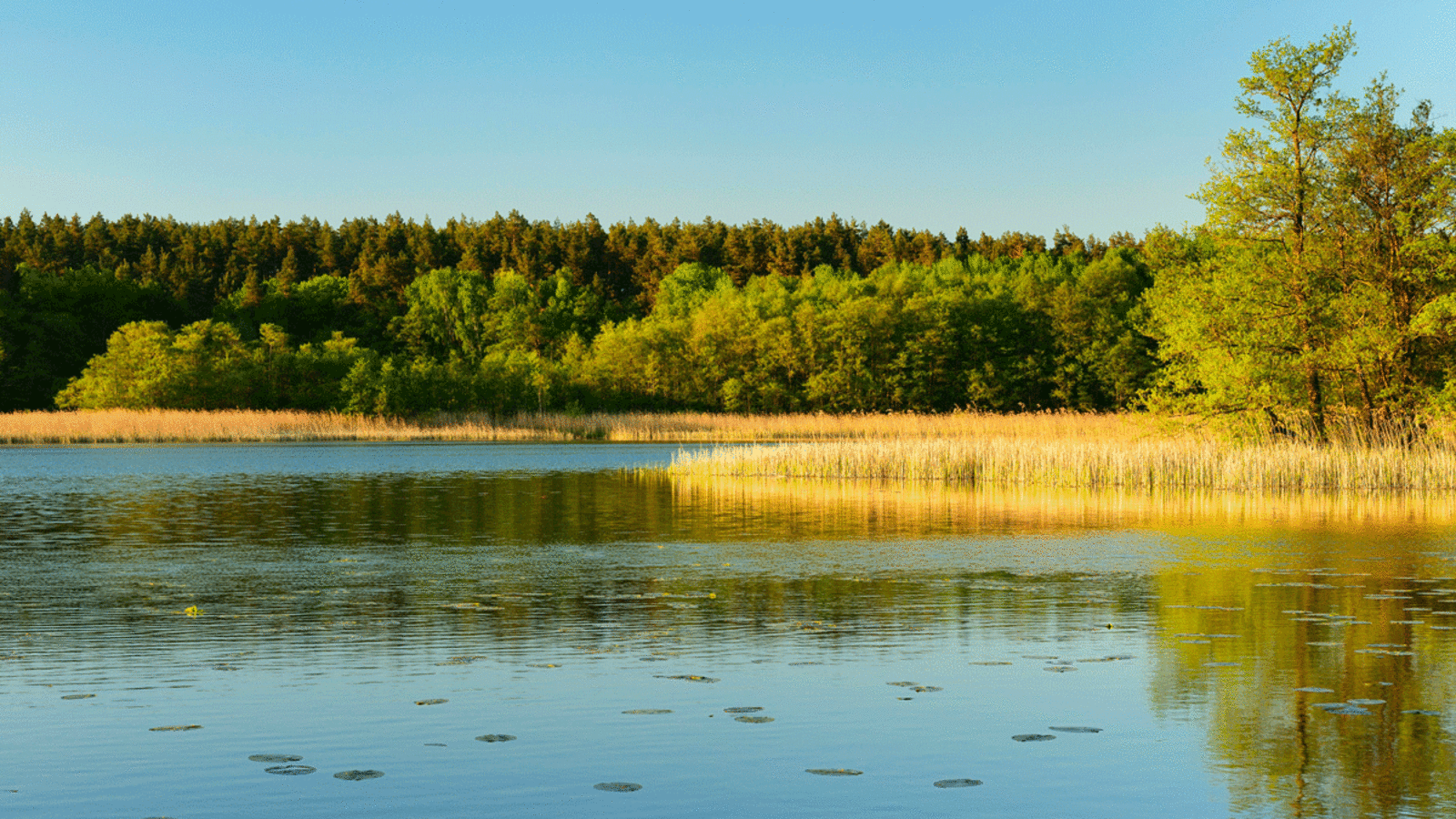 Abendstimmung am Templiner See in Brandenburg-Berlin