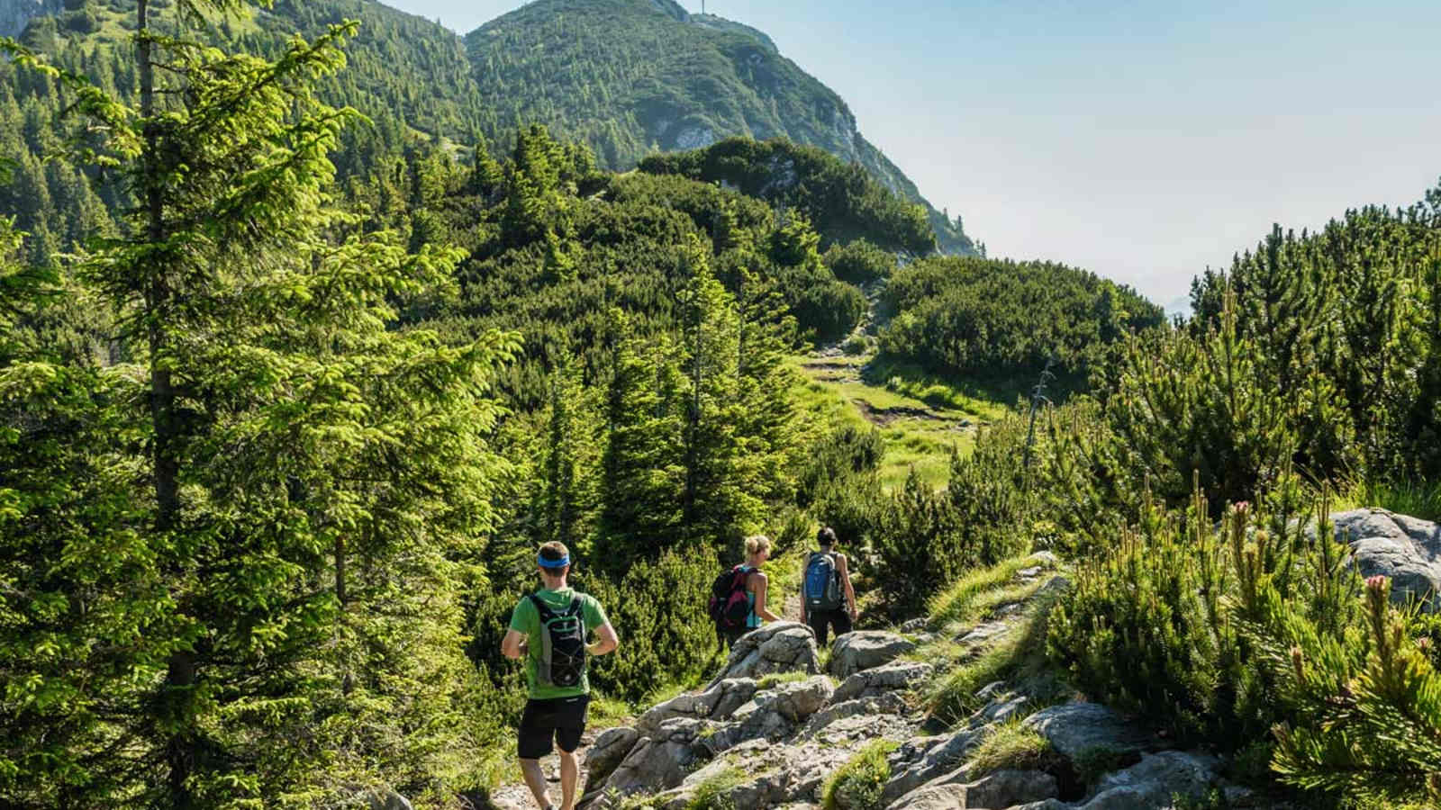 Unterwegs am Mairalmsteig, der ältesten und einfachsten Route auf den Traunstein. Links oben die Gmundner Hütte, vorn das Gipfelkreuz.