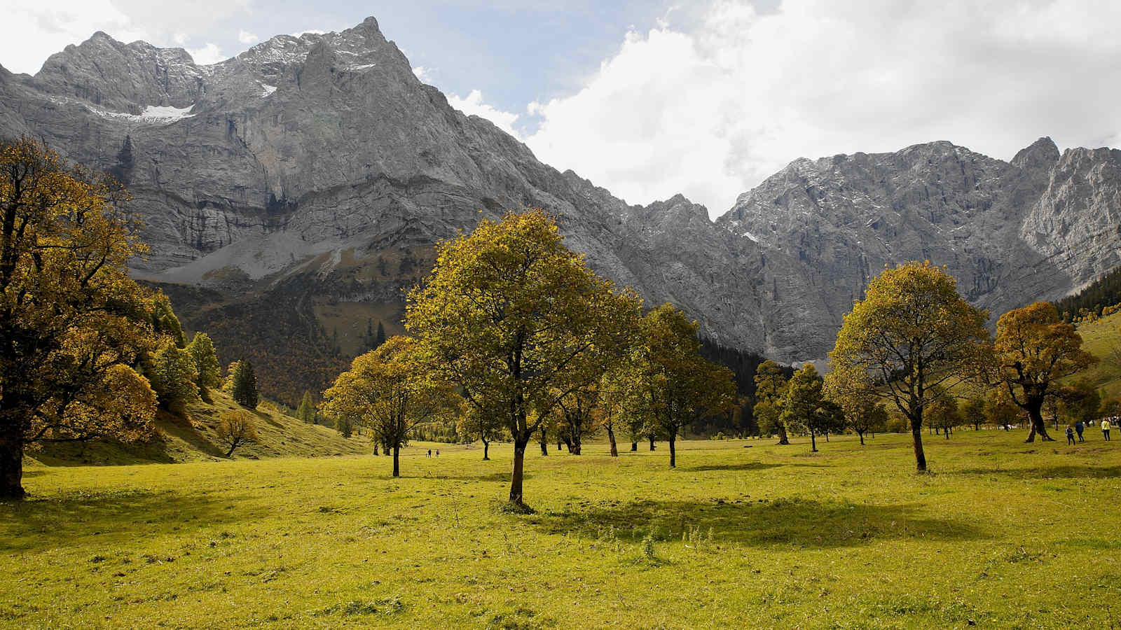 Die bekannten Ahornböden im Karwendel