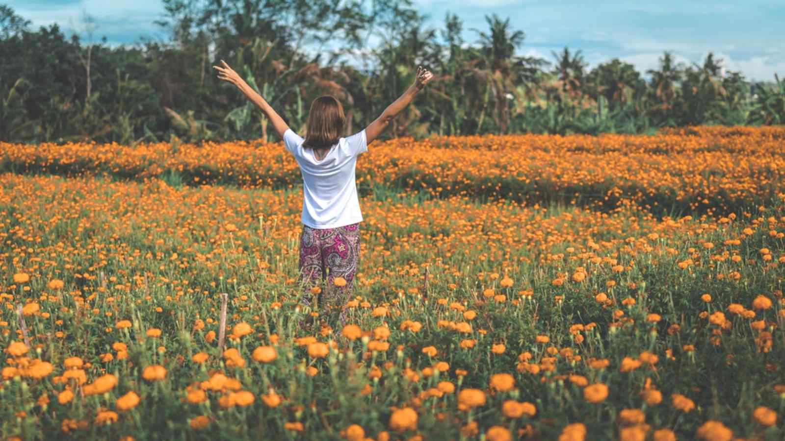 Ein Hoch auf die Welt der Flora