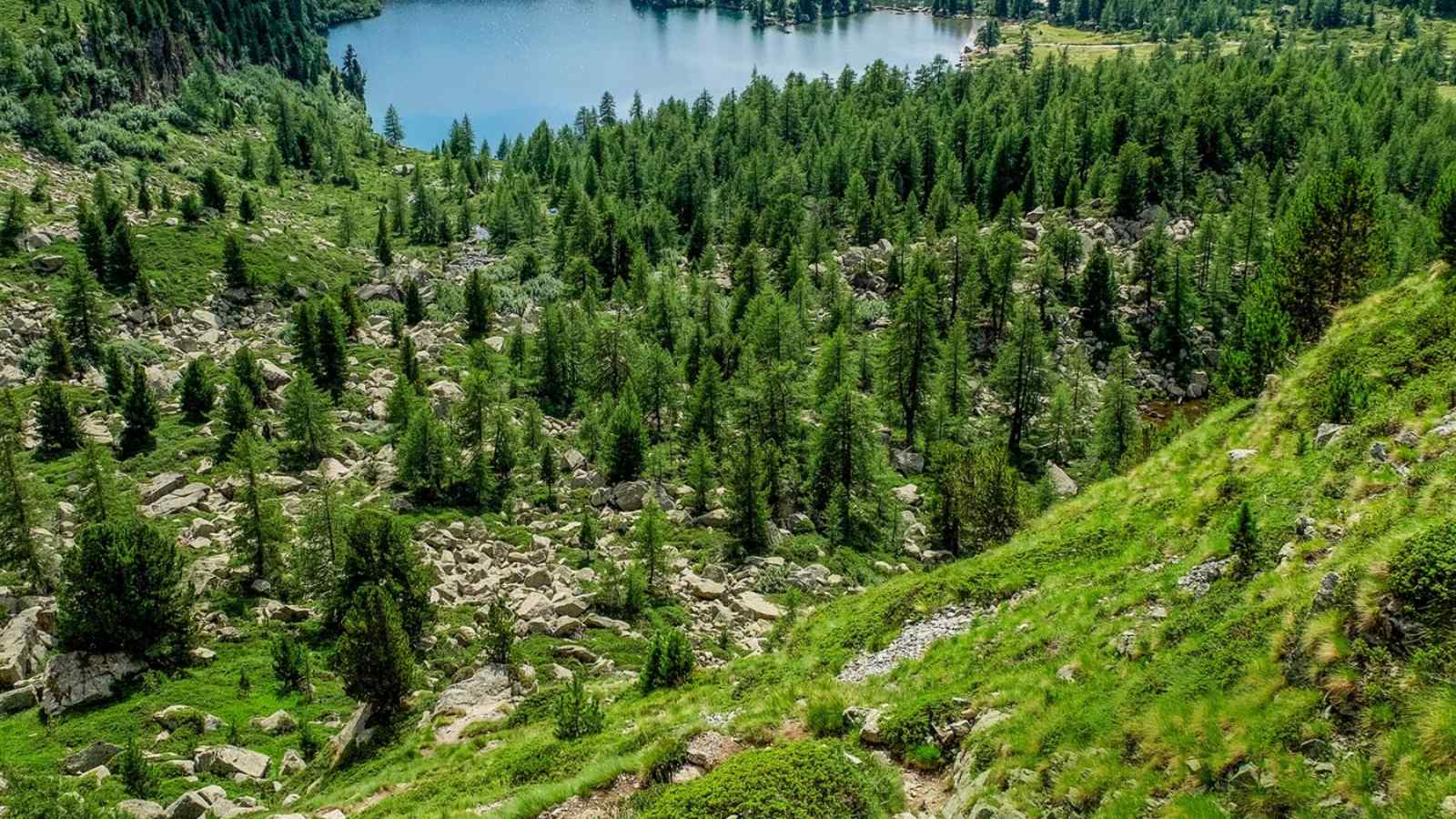 Die Berglandschaft mit einem See im Hintergrund.