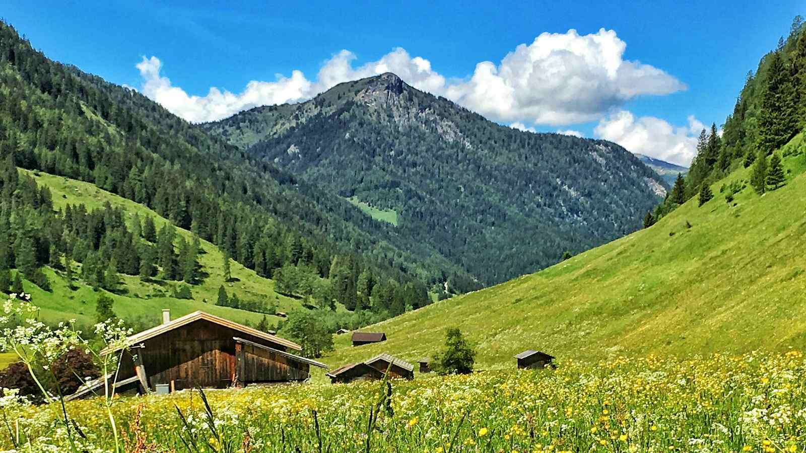 Freiwilligenarbeit am Berg: Was dem modernen Menschen fehlt