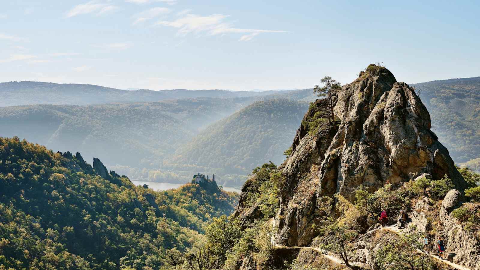 Der Vogerlbergsteig in der Wachau.