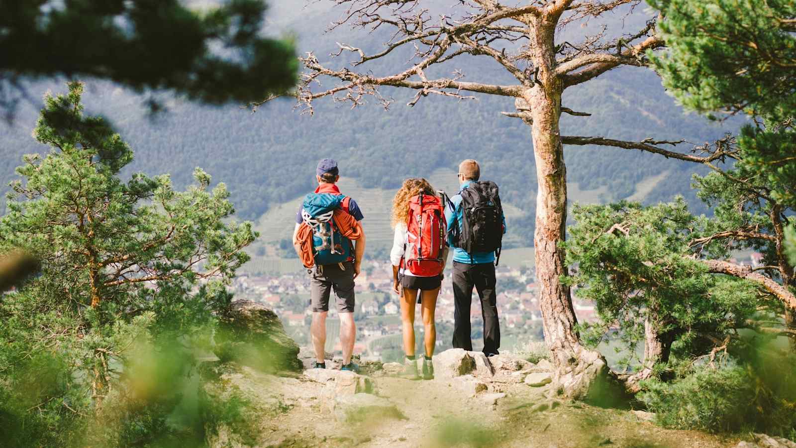 Drei Wanderer stehen auf einer Anhöhe und sehen ins Tal