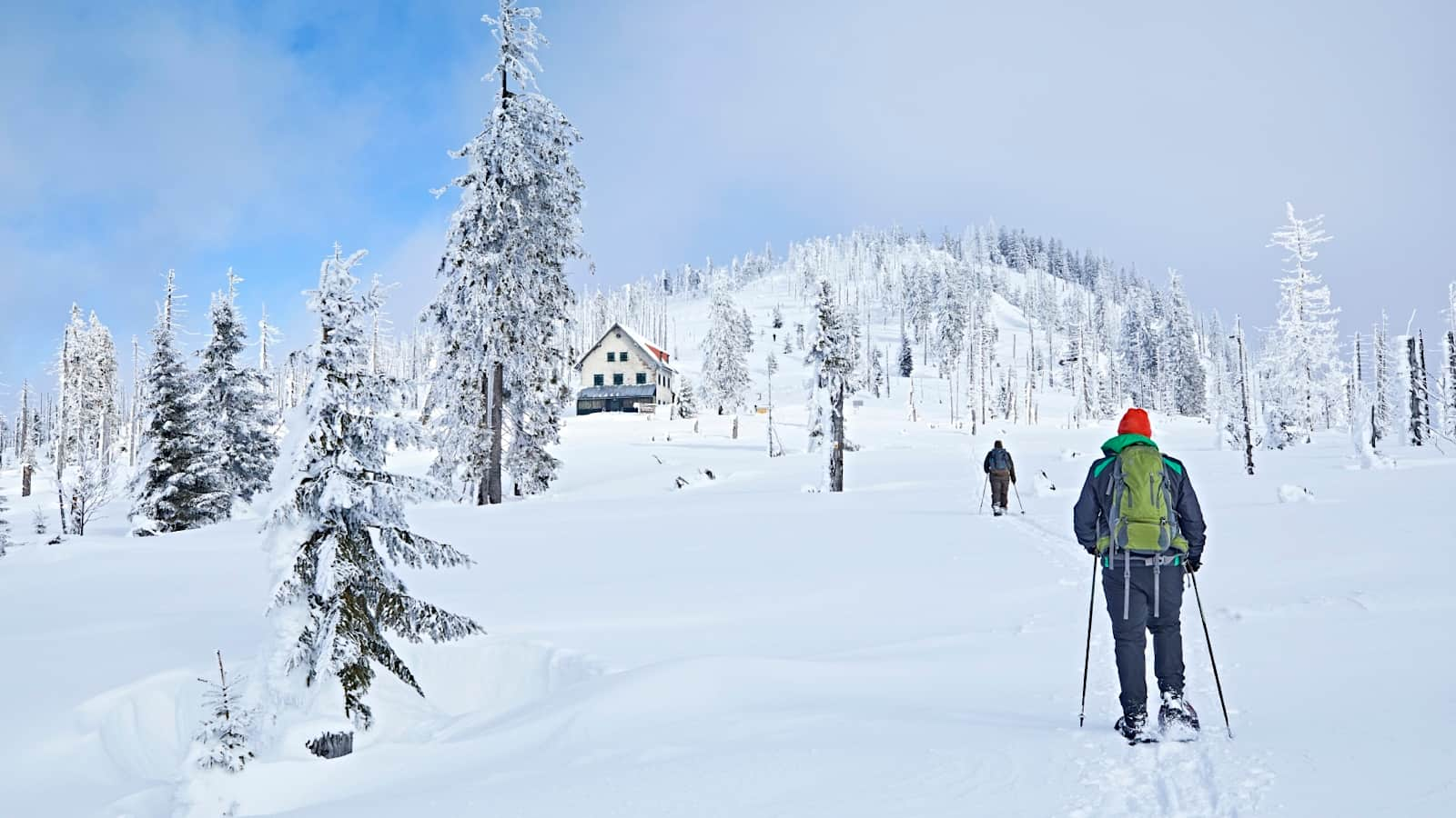 Im Winter bietet der Nationalpark geführte Touren auf Schneeschuhen an.