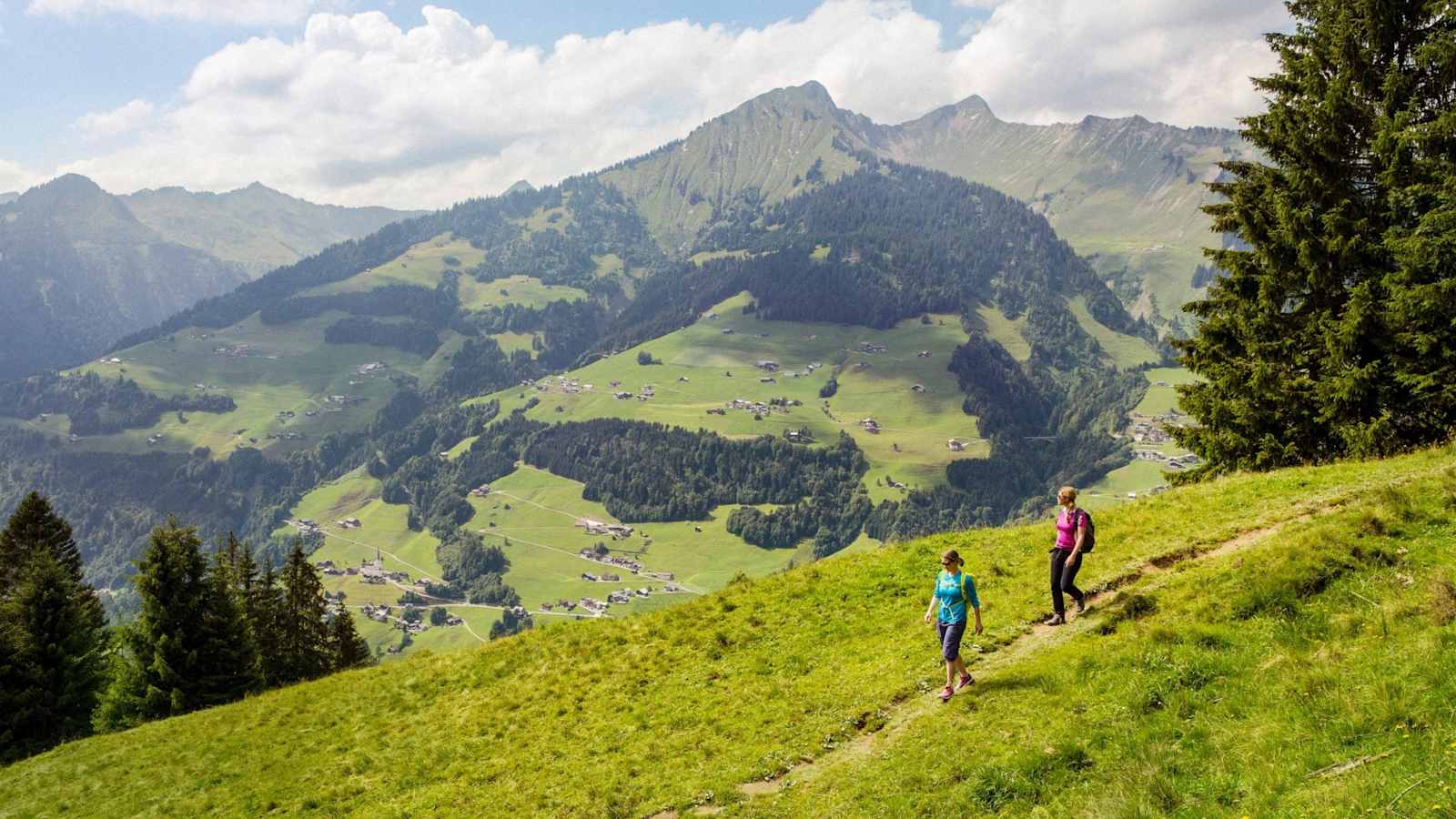 Bergsteiger auf einem Wiesenweg. 