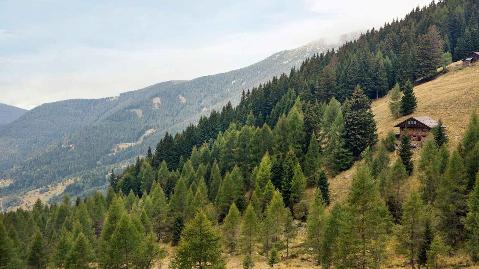 Fernblick in die Wälder