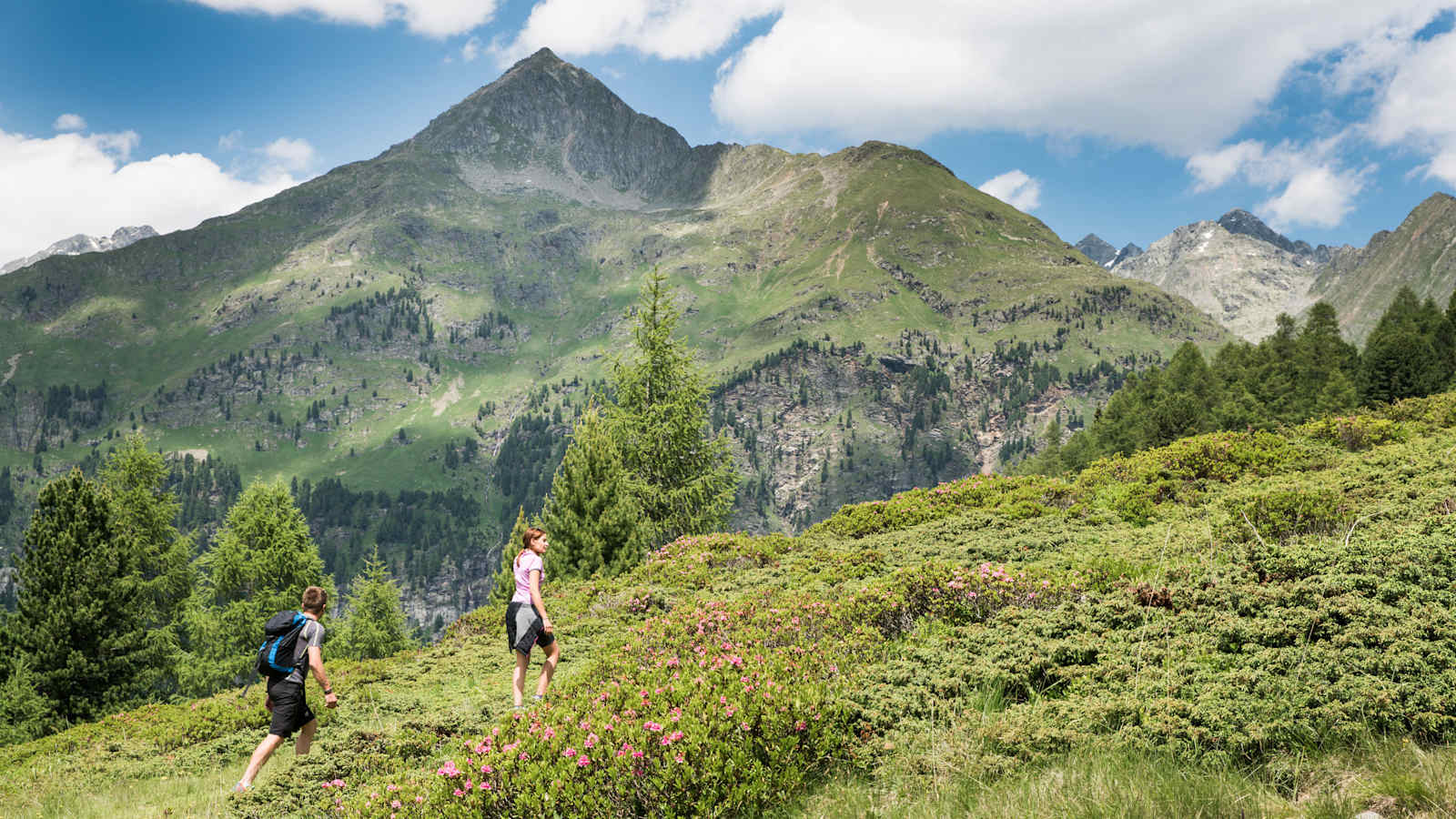 Wandern in Osttirol - Defereggental