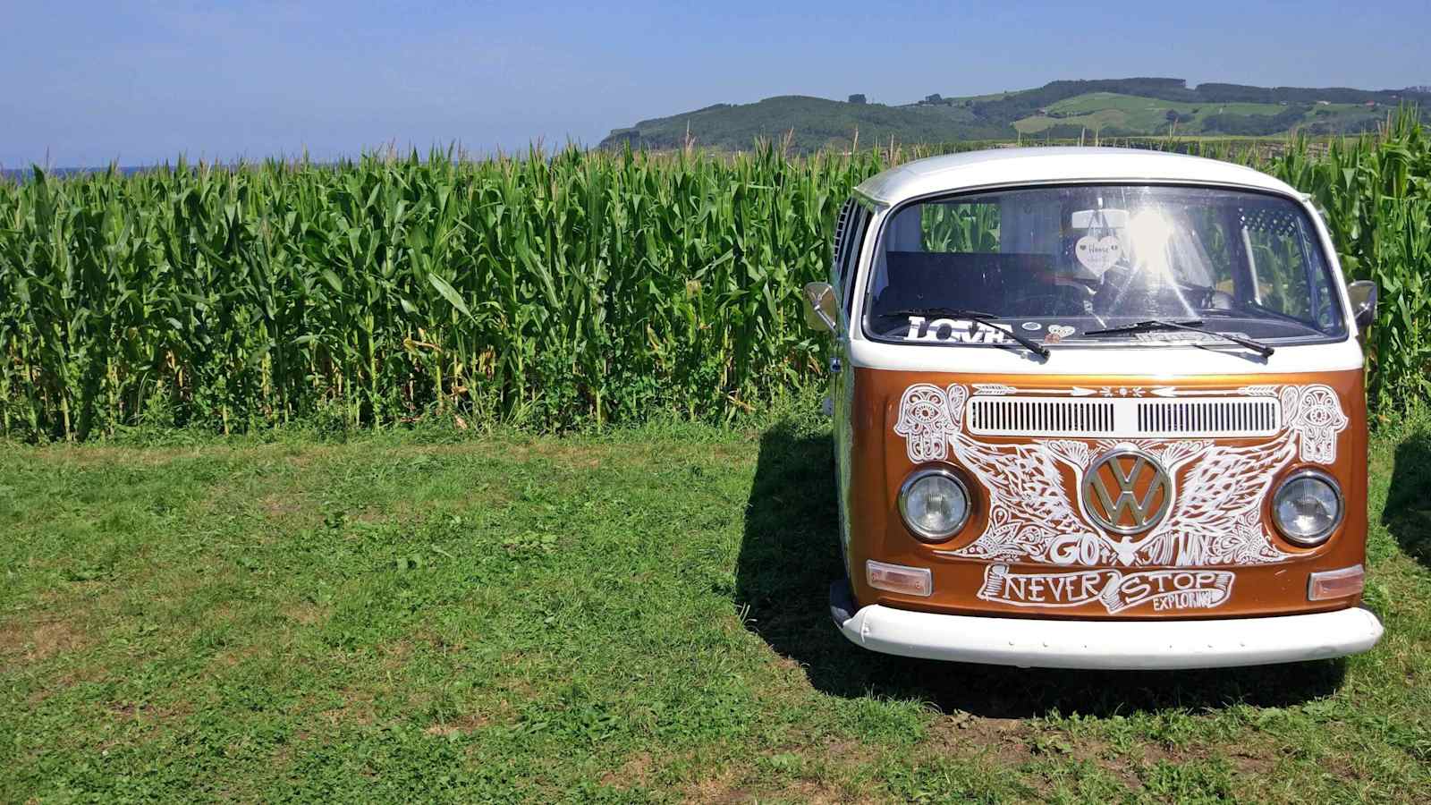 VW Bus Camping