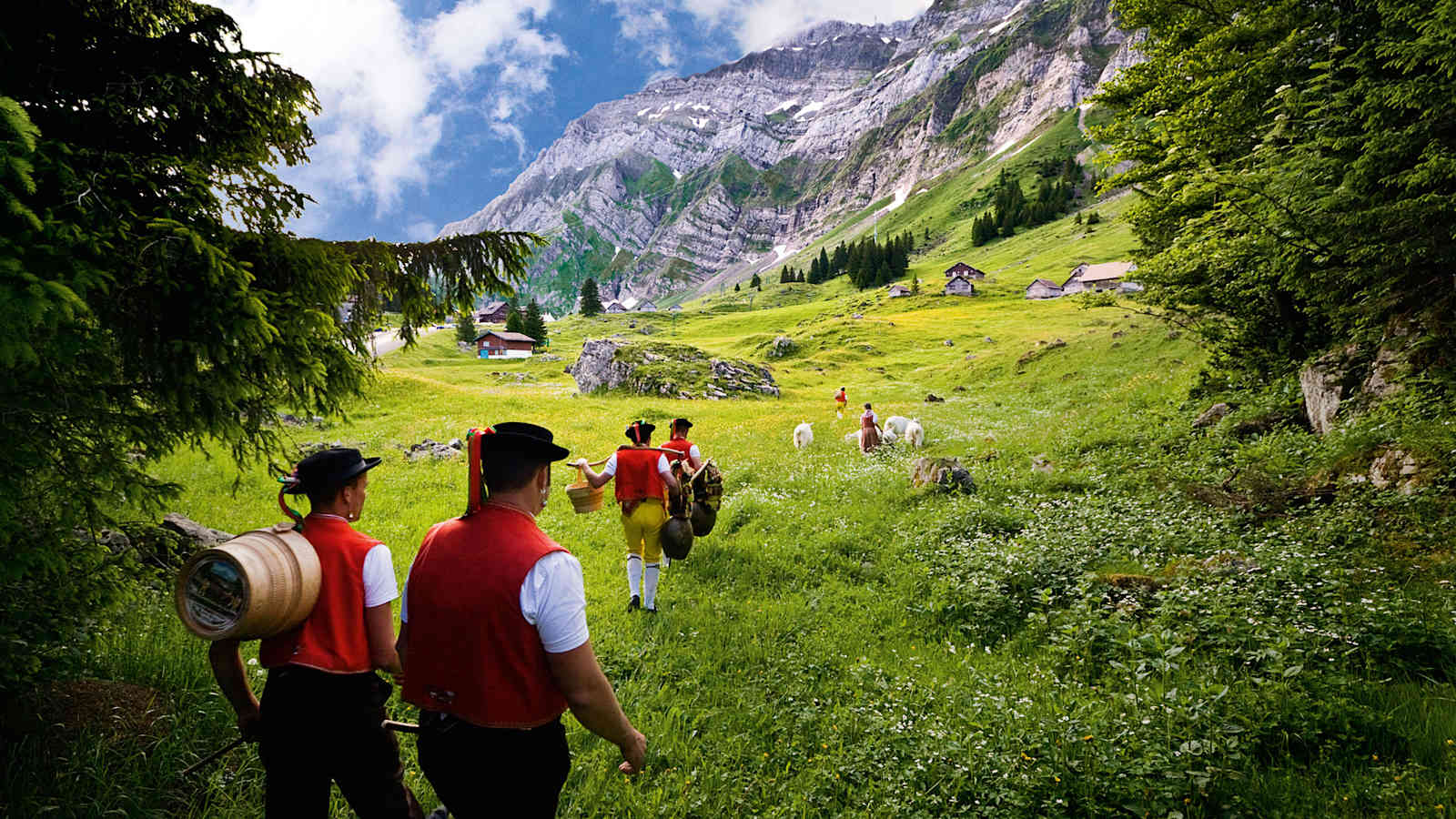 Appenzellerland: Alpfahrt auf der Schwaegalp 