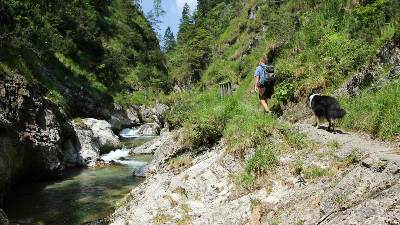 Wandern mit Hund: Weißbachschlucht