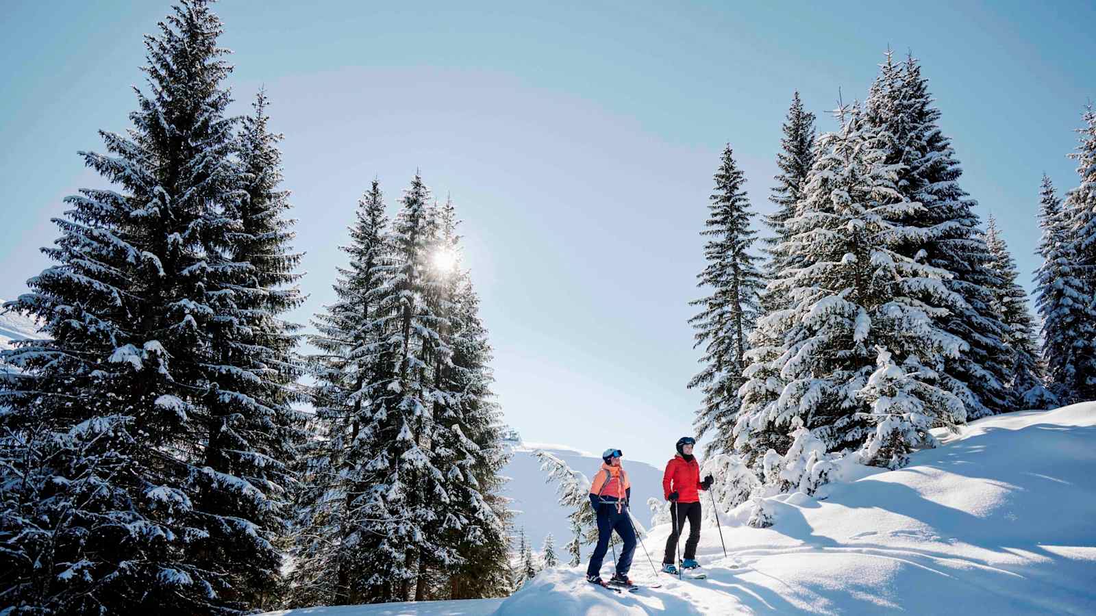 Mit Skiern durch den winterlichen Wald.