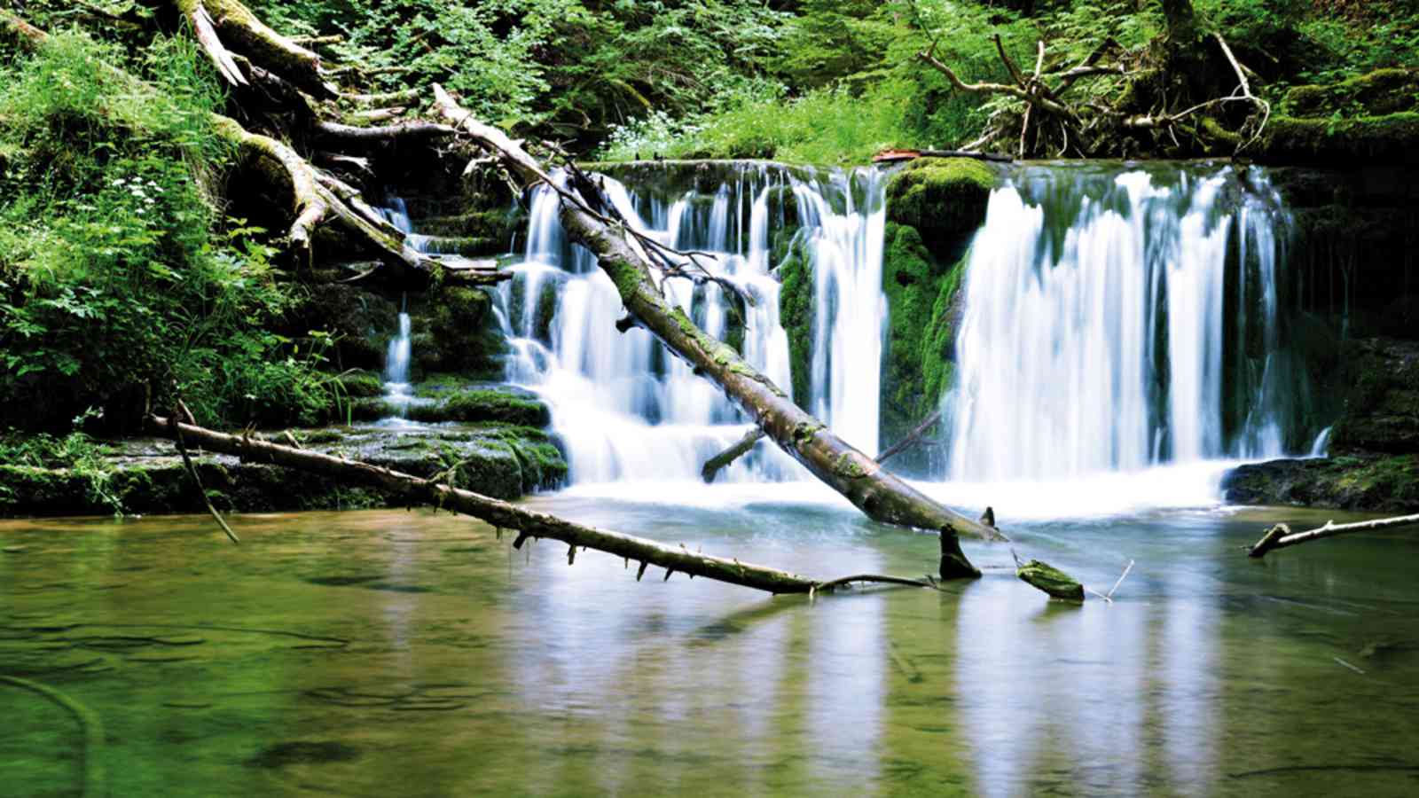 Wutachschlucht im Schwarzwald